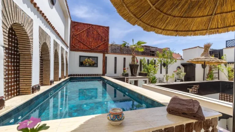 Piscine, palmier et solarium du Riad Dar Najat à Marrakech