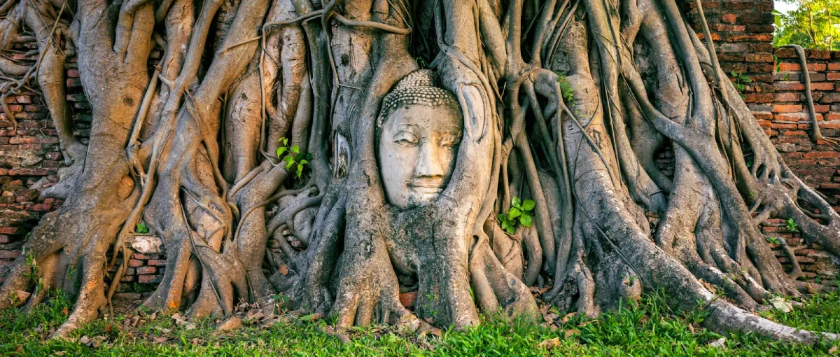 La tête de Bouddha dans les racines d'un arbre Wat Mahathat Ayutthaya en Thaïlande